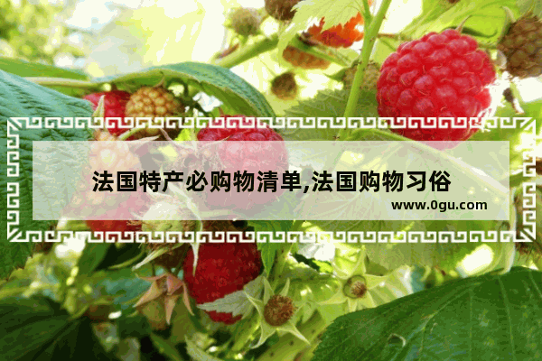 法国特产必购物清单,法国购物习俗