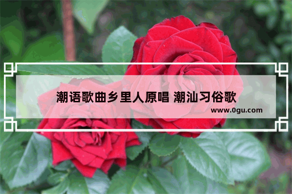 潮语歌曲乡里人原唱 潮汕习俗歌
