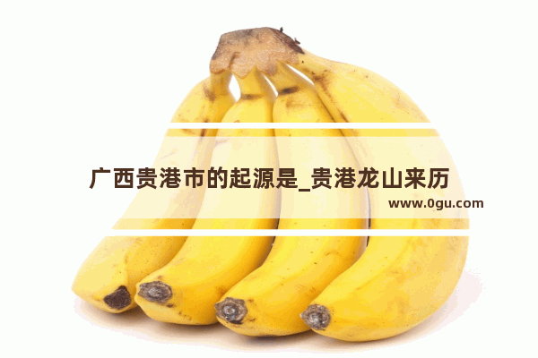 广西贵港市的起源是_贵港龙山来历