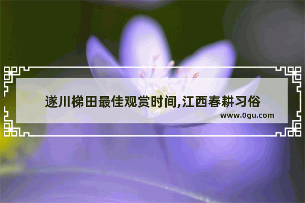 遂川梯田最佳观赏时间,江西春耕习俗