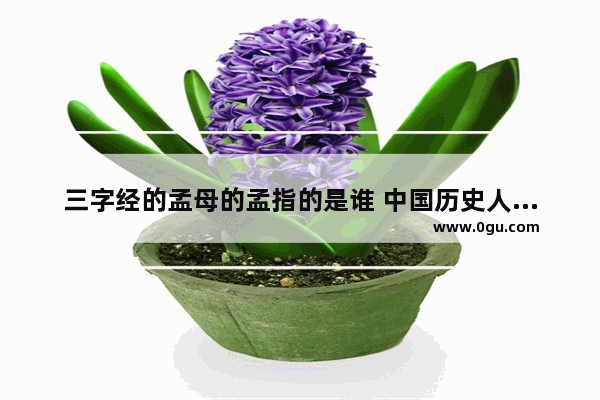 三字经的孟母的孟指的是谁 中国历史人物孟轲故事