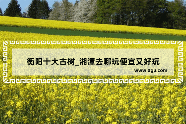 衡阳十大古树_湘潭去哪玩便宜又好玩