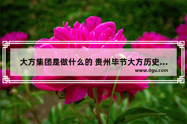 大方集团是做什么的 贵州毕节大方历史文化
