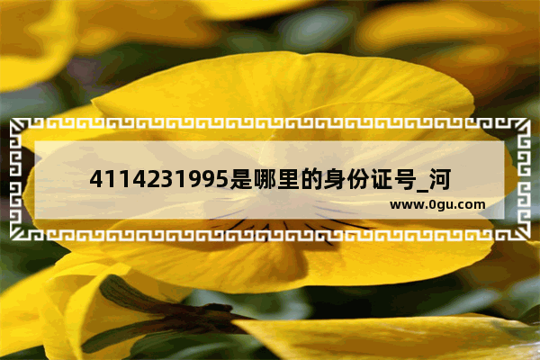 4114231995是哪里的身份证号_河南省周口市郸城县秋渠乡于寨村邮编是什么