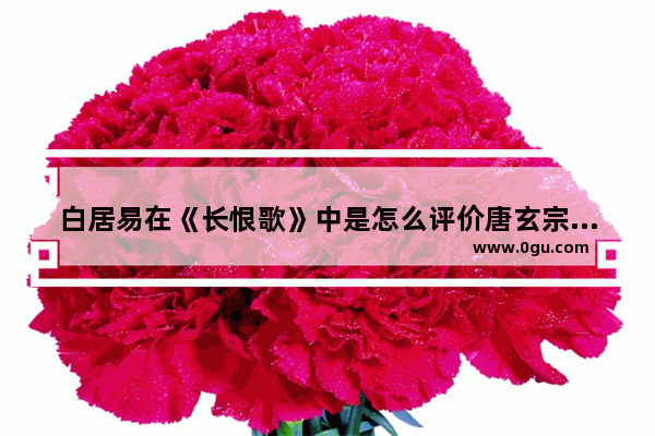 白居易在《长恨歌》中是怎么评价唐玄宗和杨贵妃的,评价历史人物杨贵妃