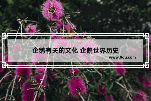 企鹅有关的文化 企鹅世界历史