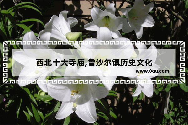 西北十大寺庙,鲁沙尔镇历史文化