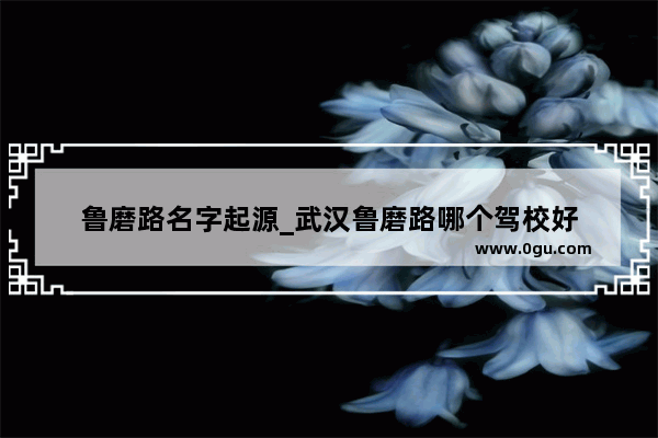 鲁磨路名字起源_武汉鲁磨路哪个驾校好