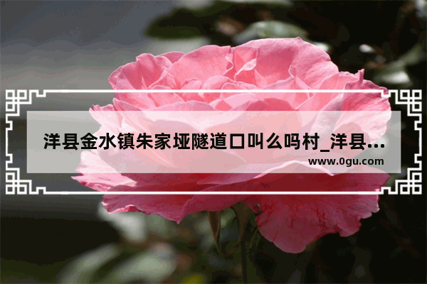 洋县金水镇朱家垭隧道口叫么吗村_洋县金水至黄金峡镇通公路吗