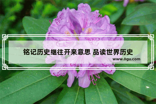 铭记历史继往开来意思 品读世界历史