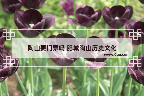 陶山要门票吗 肥城陶山历史文化