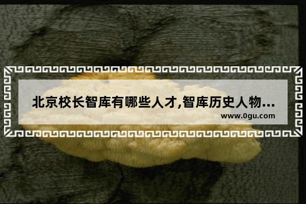 北京校长智库有哪些人才,智库历史人物介绍