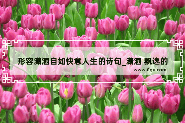 形容潇洒自如快意人生的诗句_潇洒 飘逸的古诗