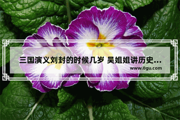 三国演义刘封的时候几岁 吴姐姐讲历史故事201