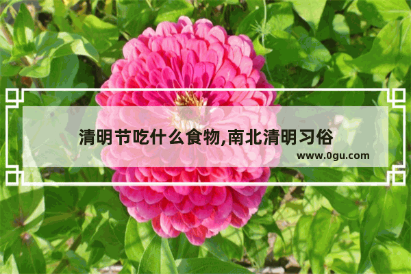 清明节吃什么食物,南北清明习俗