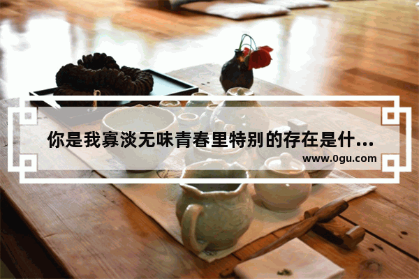 你是我寡淡无味青春里特别的存在是什么意思_超级男声李什么亮