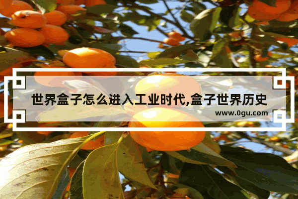 世界盒子怎么进入工业时代,盒子世界历史