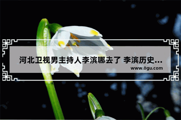 河北卫视男主持人李滨哪去了 李滨历史人物