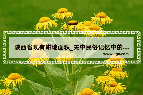 陕西省现有耕地面积_关中民俗记忆中的农耕用具