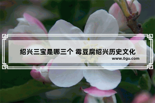 绍兴三宝是哪三个 霉豆腐绍兴历史文化