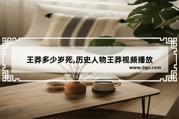 王莽多少岁死,历史人物王莽视频播放