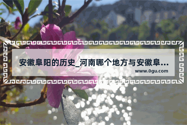 安徽阜阳的历史_河南哪个地方与安徽阜阳交界
