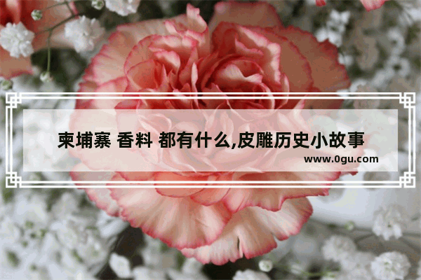 柬埔寨 香料 都有什么,皮雕历史小故事