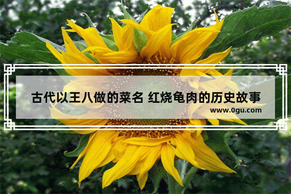 古代以王八做的菜名 红烧龟肉的历史故事