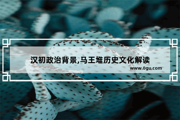 汉初政治背景,马王堆历史文化解读