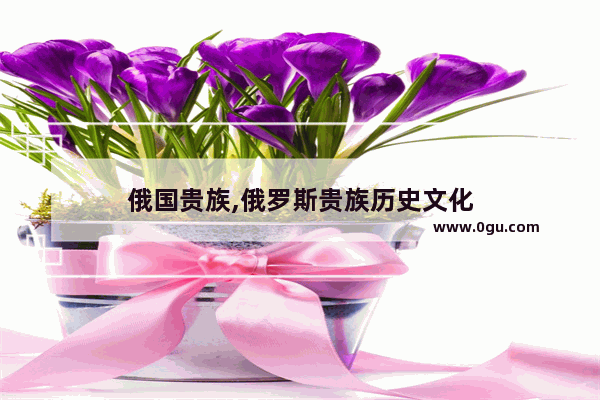 俄国贵族,俄罗斯贵族历史文化