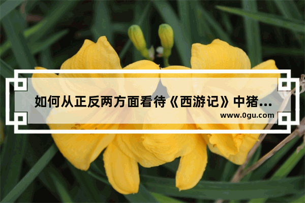如何从正反两方面看待《西游记》中猪八戒的形象_举出正反历史事例 评析实事求是的价值