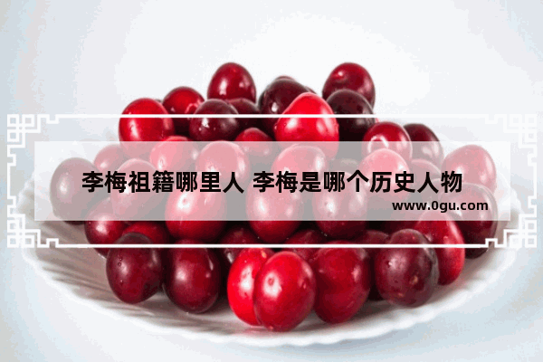 李梅祖籍哪里人 李梅是哪个历史人物
