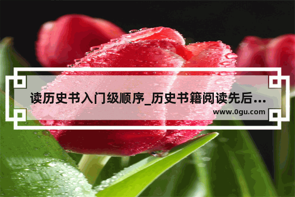 读历史书入门级顺序_历史书籍阅读先后顺序