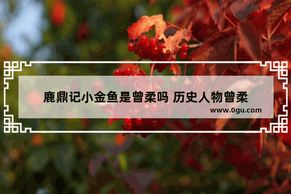 鹿鼎记小金鱼是曾柔吗 历史人物曾柔