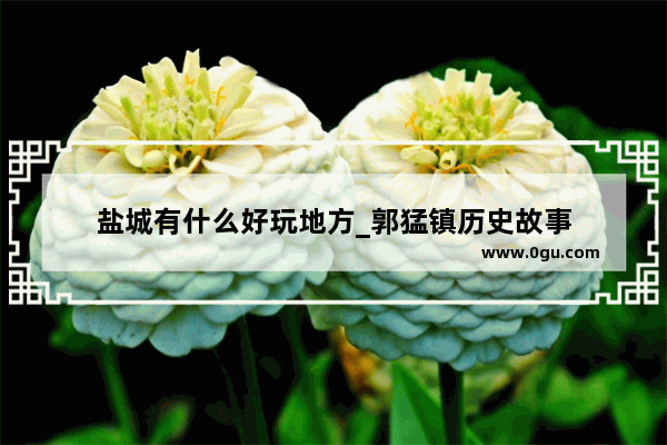 盐城有什么好玩地方_郭猛镇历史故事