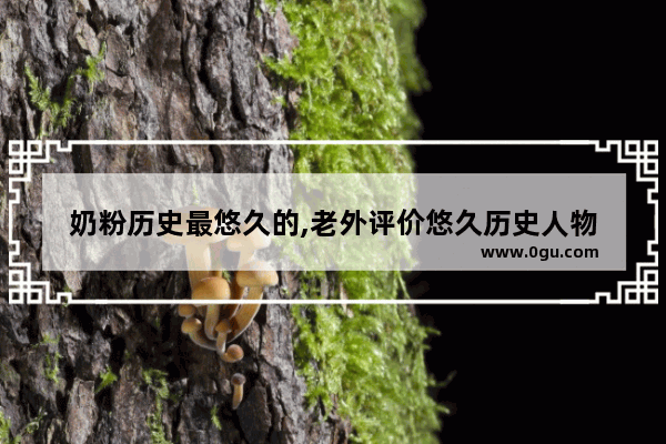 奶粉历史最悠久的,老外评价悠久历史人物