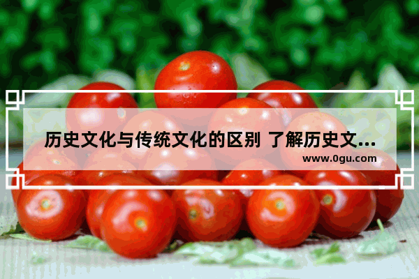 历史文化与传统文化的区别 了解历史文化和传统文化