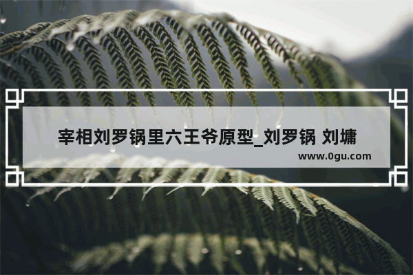 宰相刘罗锅里六王爷原型_刘罗锅 刘墉