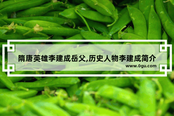 隋唐英雄李建成岳父,历史人物李建成简介