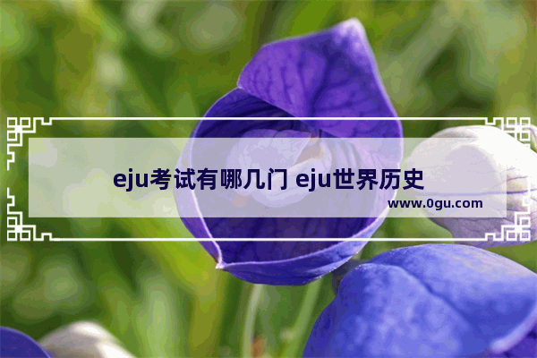 eju考试有哪几门 eju世界历史