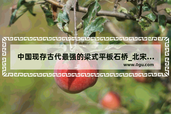 中国现存古代最强的梁式平板石桥_北宋第一座跨海的梁式石桥