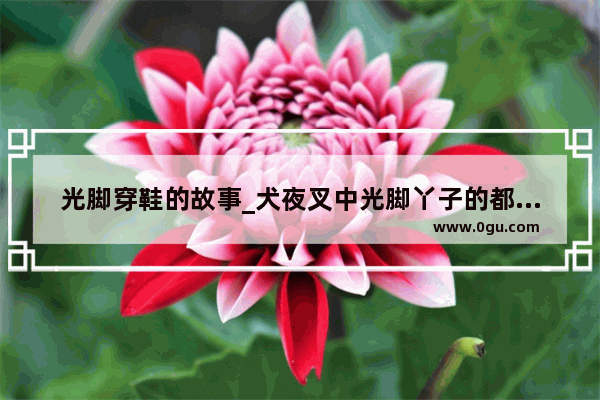 光脚穿鞋的故事_犬夜叉中光脚丫子的都是谁