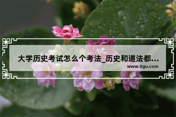 大学历史考试怎么个考法_历史和道法都是开卷吗