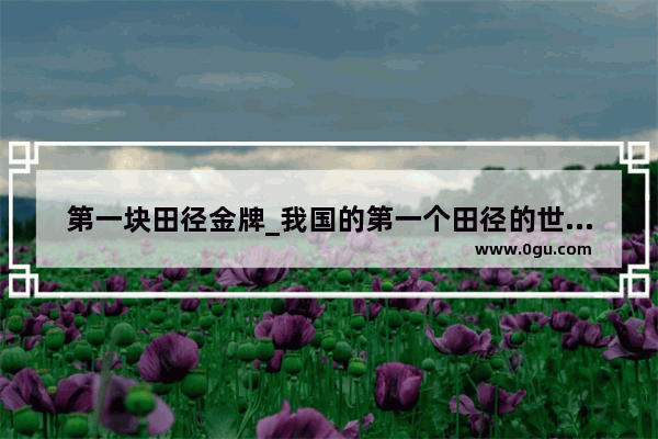 第一块田径金牌_我国的第一个田径的世界冠军是谁