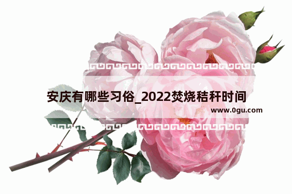 安庆有哪些习俗_2022焚烧秸秆时间