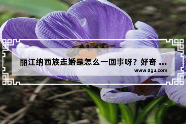 丽江纳西族走婚是怎么一回事呀？好奇 泸沽湖婚假习俗