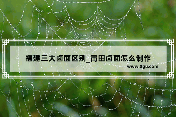 福建三大卤面区别_莆田卤面怎么制作