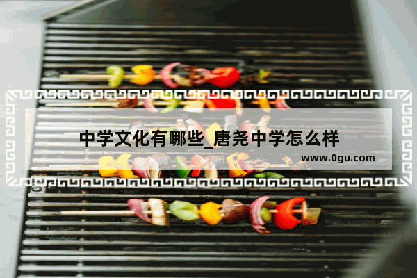 中学文化有哪些_唐尧中学怎么样