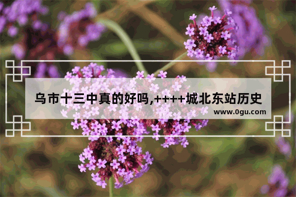乌市十三中真的好吗,++++城北东站历史故事