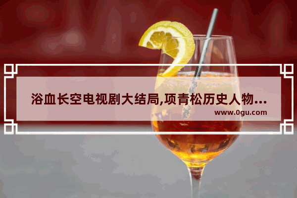 浴血长空电视剧大结局,项青松历史人物简介